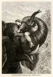 Passepartout nem um pouco assustado, de Volta ao Mundo em Oitenta Dias por Jules Verne (1828-1905), 1873