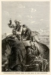 Passepartouts passeio incômodo na parte de trás do elefante, de todo o mundo em oitenta dias por Jules Verne (1828-1905), engrossado por Adolphe François Pannemaker (1822-1900) 1873