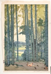 Bosque de bambu