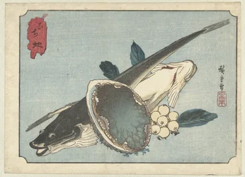 Platvissen, abalone en bessen
Kochi awabi (título sobre o objecto)