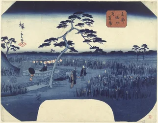 Íris floridas em Horikiri na capital oriental Toto Horikiri hanashobu (título no objeto)