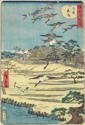 Homing Geese em Shirahige, novembro de 1861