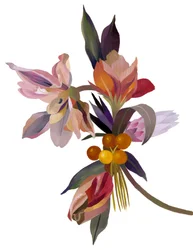 Uma flor imaginária à base de uma tulipa.