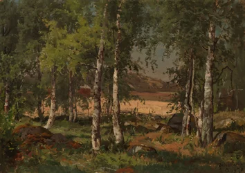 Paisagem com bosque de bétulas e campo de centeio