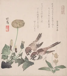 Coleção Spring Rain Harusame shu, vol. 3: Pardais e dentes-de-leão, ca. 1820., c. 1820.