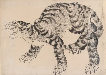 Tigre, século XIX.