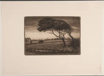 paisagem de outono