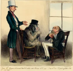 Veja Sr. Mayeux, este animal mantém o meio termo entre o homem e o macaco - pelo amor de Deus! Ele pode se bajular para ser feio! "Desenho animado retratando as semelhanças entre um orangotango e um homem - desenho de Honore Daumier (1808 - 1879) de "Chari