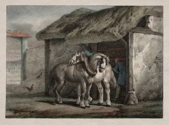 Cavalo de fazenda.