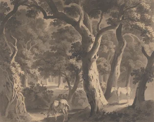 Floresta de Wychwood
