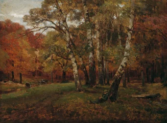 paisagem com bétulas