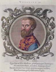 Retrato de Andreas Vesalius (1514-64) de Renéil des Portraits de Medecins pelo médico húngaro, Sambucus, 1574