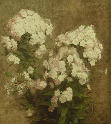 Flox, 1870