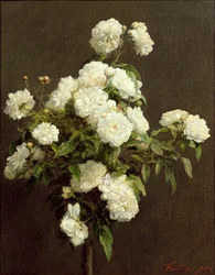 Rosas Brancas, 1870