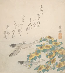 Peixes Nadando com Flores Amarelas, ca. 1830.