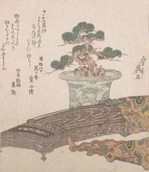 Pinheiro em vaso e harpa japonesa Koto, século XIX.