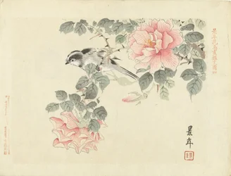 Pássaro preto e branco entre rosas cor-de-rosa - Esboços de flores e pássaros de Keinen (título da série) - Keinen kacho gafu (título da série no objeto)