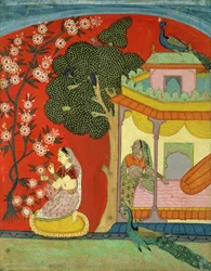 Uma senhora arrancando flores, sul do Rajastão ou Deccan, c.1675