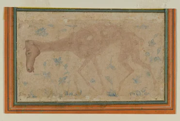 Um Cavalo Emaciado, de Mughal ou Deccan, meados do século XVII (tinta e lavagem a cores sobre papel)