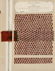 Amostra de turbante de algodão grosso de Sydapet em Madras, da Coleção de Fabricantes Têxteis da Índia, de John Forbes Watson, publicada em 1866