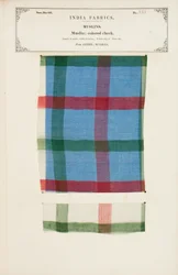 Amostra colorida de musselina de Arnee em Madras, da Coleção dos Fabricantes Têxteis da Índia, de John Forbes Watson, publicada em 1866