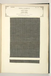 Cotton Check, Masulipatam, Madras, Piece Goods, da coleção de Fabricantes Têxteis da Índia, de John Forbes Watson, publicado em 1866
