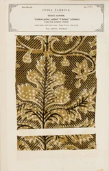 Amostra de algodão com estampa de chet (chintz) de Arcot em Madras, da Coleção de Fabricantes Têxteis da Índia, de John Forbes Watson, publicada em 1866