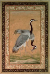 Gruas de Mansur, Período Jahangir, Mughal