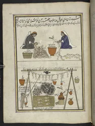 Pescadores, Mulheres a esventrar peixe; Homem a secar peixe, 86 desenhos ligados a um volume representando ofícios e profissões em Caxemira, Artesãos são mostrados no trabalho com os seus utensílios e equipamento, Por um artista de Caxemira, provavelmente 
