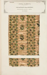 Amostra de bordado de ouro e besouro de Madras, da "The Collection of the Textile Manufacturers of India", de John Forbes Watson, publicada em 1866 (meios mistos)