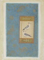 Hoopoes, c.1590 (wc opaca e ouro no papel)