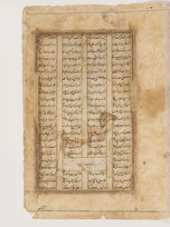 Majnun num camelo