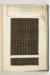 Material para Pantaloons, Loodiana, Punjab, Piece Goods, da Coleção de Fabricantes Têxteis da Índia, de John Forbes Watson, publicado em 1866