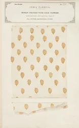 Amostra de musselina impressa com flores de ouro de Jeypore em Rajpootana States, da Coleção de Fabricantes Têxteis da Índia, de John Forbes Watson, publicada em 1866