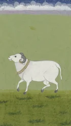 Ram com coleira dourada, 1700-1799