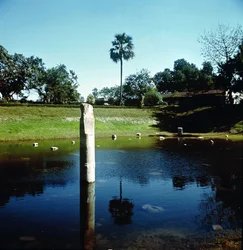 Ruínas do Palácio de Pataliputra