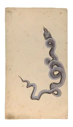 A constelação do dragão: al-Tinnin, 1740 (wc opaca, tinta e ouro no papel)