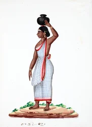 Portador de água (wc no papel)