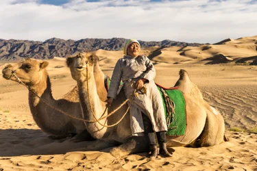 Uma mulher a descansar com camelos no deserto de Gobi do Sul, Mongólia, 2015 (foto)