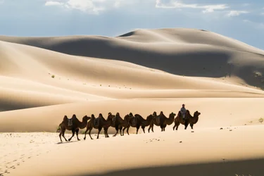 Caravana de camelos bactrianos em Khongoryn Els, no Parque Nacional de Gobi Gurvansaikhan, 2016