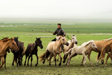 Família local a reunir os seus cavalos na Reserva Natural de Gun-Galuut