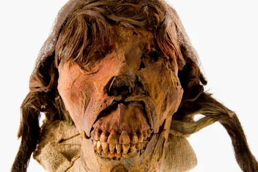 Retratos da cabeça da múmia feminina El brujo sobre um fundo branco.