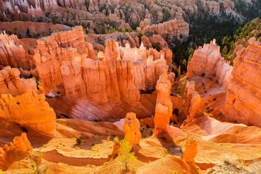 Nascer do sol em Hoodoos no Parque Nacional de Bryce Canyon, 2012 (foto)