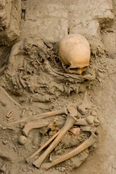A mulher sacrificada no enterro com o feixe de mummu em Huaca El Brujo, 2005 (foto)