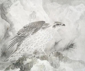 Falcão