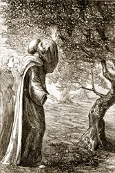 São Columba transforma frutos amargos em doces, de The Trias Thaumaturga, ou "Três Santos da Obra-Maravilha da Irlanda", de Mary Cusack (1829-99), publicada em 1890