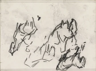 Cavalos