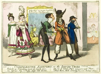 Anatomia Comparada