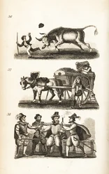 O Boi Enraivecido, o Pustman e a Tomada de Guy Fawkes