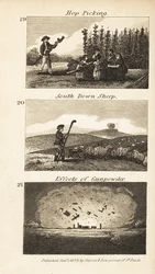 O comércio na Regency England
